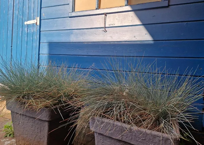 Holiday Happy House Dom wakacyjny Noordwijkerhout